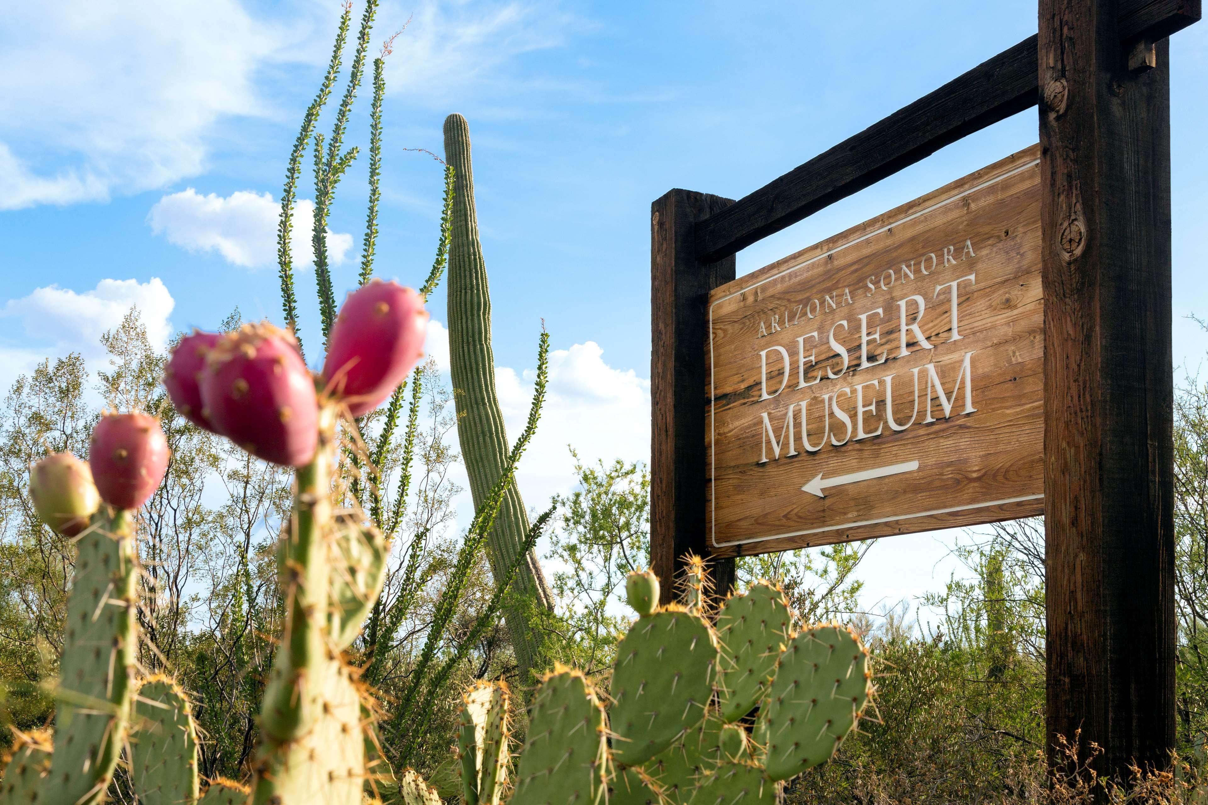 Hyatt Place Tucson Central Zewnętrze zdjęcie